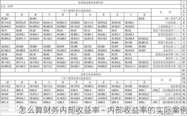 怎么算财务内部收益率 - 内部收益率的实际案例-第2张图片-