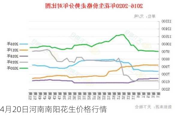 4月20日河南南阳花生价格行情-第1张图片-