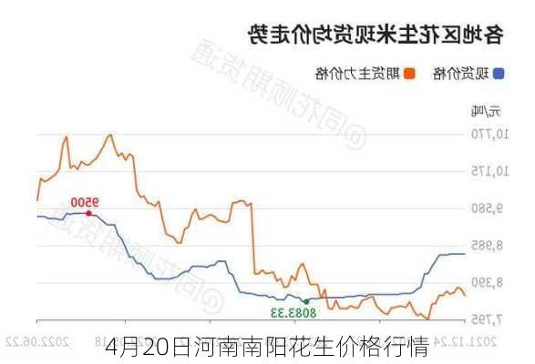 4月20日河南南阳花生价格行情-第3张图片-