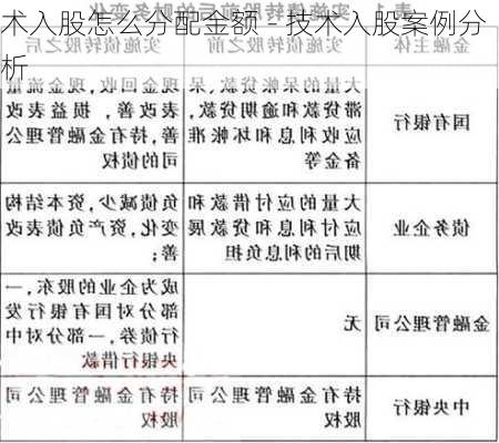 术入股怎么分配金额 - 技术入股案例分析-第2张图片-