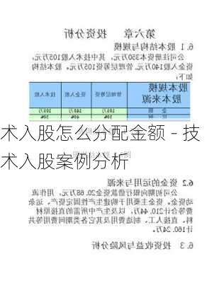 术入股怎么分配金额 - 技术入股案例分析-第3张图片-