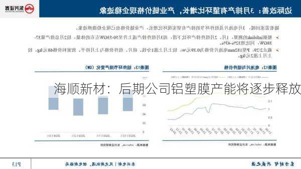 海顺新材：后期公司铝塑膜产能将逐步释放-第1张图片-