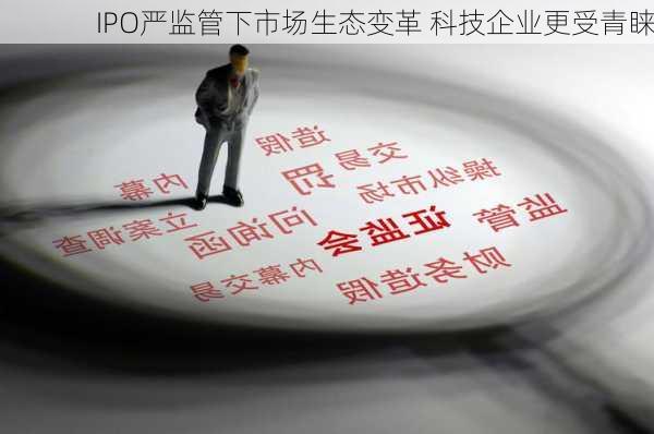 IPO严监管下市场生态变革 科技企业更受青睐-第2张图片-