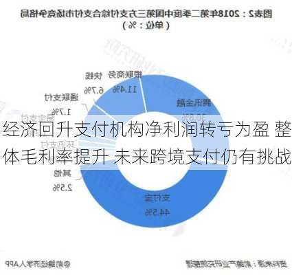 经济回升支付机构净利润转亏为盈 整体毛利率提升 未来跨境支付仍有挑战-第2张图片-