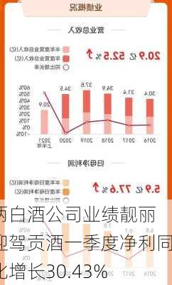 两白酒公司业绩靓丽 迎驾贡酒一季度净利同比增长30.43%-第3张图片-