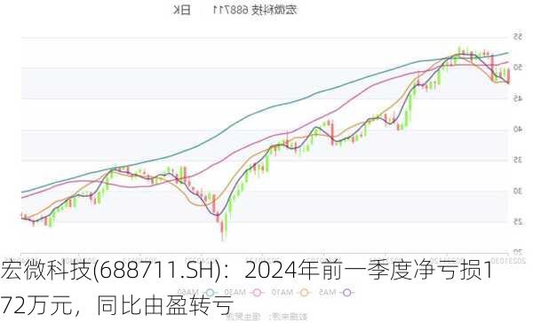 宏微科技(688711.SH)：2024年前一季度净亏损172万元，同比由盈转亏-第3张图片-