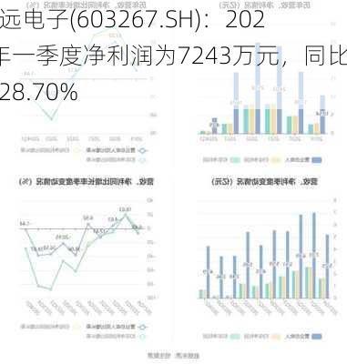 鸿远电子(603267.SH)：2024年一季度净利润为7243万元，同比下降28.70%-第1张图片-