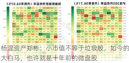 杨湜资产郑彬：小市值不等于垃圾股，如今的大白马，也许就是十年前的微盘股-第2张图片-