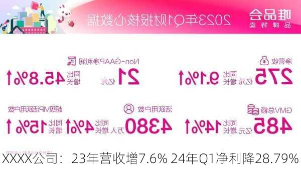 XXXX公司：23年营收增7.6% 24年Q1净利降28.79%-第3张图片-