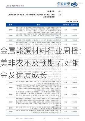 金属能源材料行业周报：美非农不及预期 看好铜金及优质成长