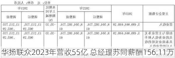 华扬联众2023年营收55亿 总经理苏同薪酬156.11万-第1张图片-