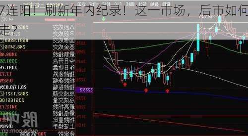 7连阳！刷新年内纪录！这一市场，后市如何走？-第2张图片-