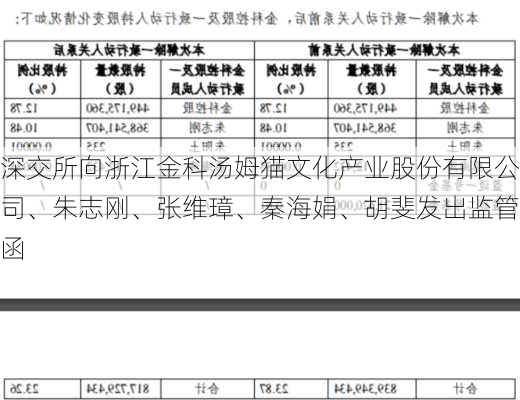 深交所向浙江金科汤姆猫文化产业股份有限公司、朱志刚、张维璋、秦海娟、胡斐发出监管函-第3张图片-