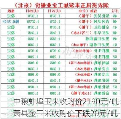 中粮蚌埠玉米收购价2190元/吨：萧县金玉米收购价下跌20元/吨