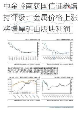 中金岭南获国信证券增持评级，金属价格上涨将增厚矿山版块利润-第2张图片-