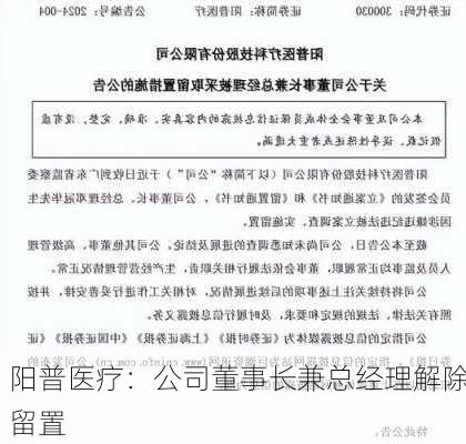 阳普医疗：公司董事长兼总经理解除留置-第1张图片-