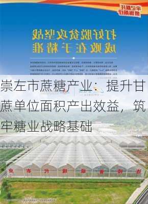 崇左市蔗糖产业：提升甘蔗单位面积产出效益，筑牢糖业战略基础-第1张图片-