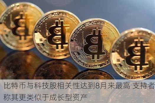 比特币与科技股相关性达到8月来最高 支持者称其更类似于成长型资产-第2张图片-