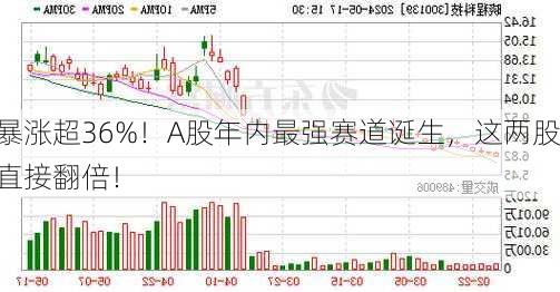 暴涨超36%！A股年内最强赛道诞生，这两股直接翻倍！-第1张图片-