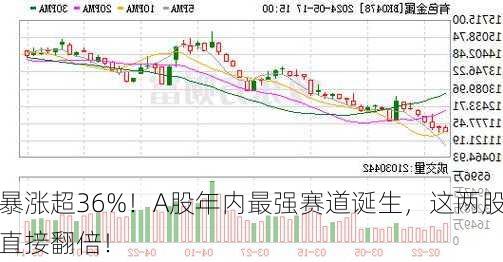 暴涨超36%！A股年内最强赛道诞生，这两股直接翻倍！-第3张图片-