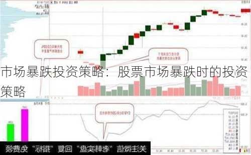 市场暴跌投资策略：股票市场暴跌时的投资策略-第2张图片-