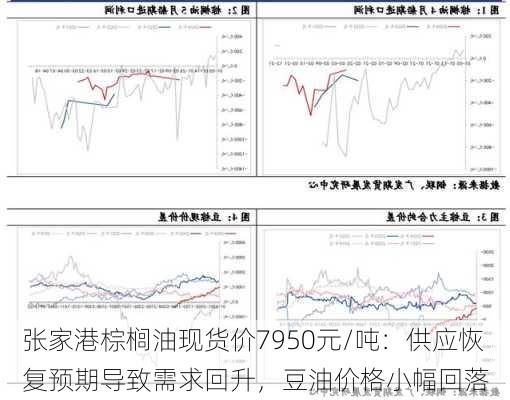 张家港棕榈油现货价7950元/吨：供应恢复预期导致需求回升，豆油价格小幅回落-第3张图片-