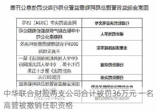 中华联合财险两支公司合计被罚36万元 一名高管被撤销任职资格-第2张图片-