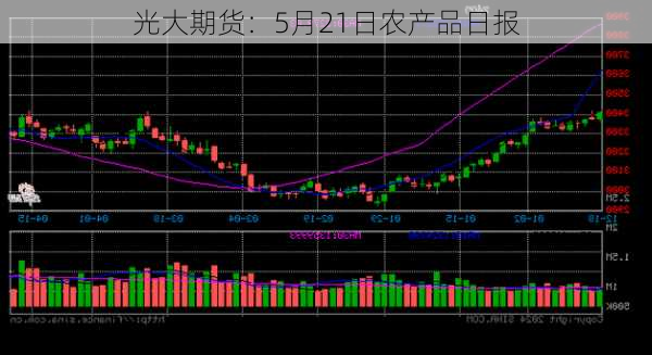 光大期货：5月21日农产品日报-第3张图片-