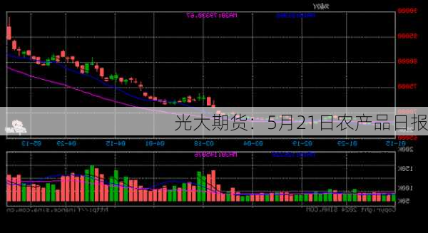 光大期货：5月21日农产品日报-第2张图片-