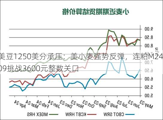 美豆1250美分承压：美小麦强势反弹，连粕M2409挑战3600元整数关口-第2张图片-