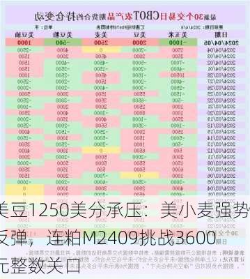 美豆1250美分承压：美小麦强势反弹，连粕M2409挑战3600元整数关口-第1张图片-