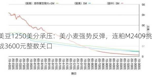 美豆1250美分承压：美小麦强势反弹，连粕M2409挑战3600元整数关口-第3张图片-