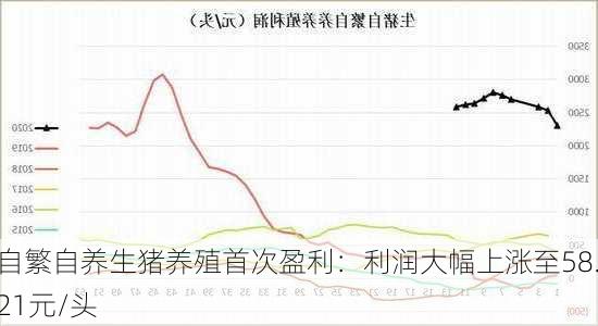 自繁自养生猪养殖首次盈利：利润大幅上涨至58.21元/头-第1张图片-