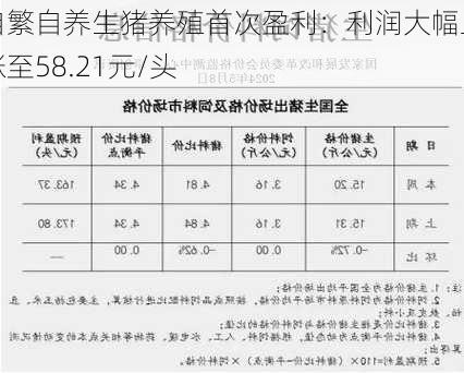 自繁自养生猪养殖首次盈利：利润大幅上涨至58.21元/头-第2张图片-