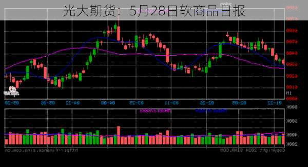 光大期货：5月28日软商品日报-第3张图片-