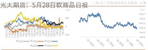 光大期货：5月28日软商品日报-第2张图片-