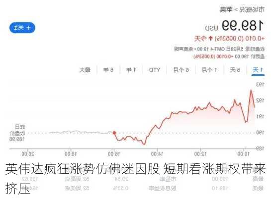 英伟达疯狂涨势仿佛迷因股 短期看涨期权带来挤压-第2张图片-