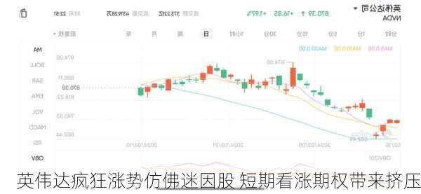 英伟达疯狂涨势仿佛迷因股 短期看涨期权带来挤压-第3张图片-