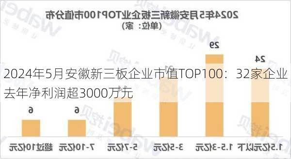 2024年5月安徽新三板企业市值TOP100：32家企业去年净利润超3000万元-第3张图片-