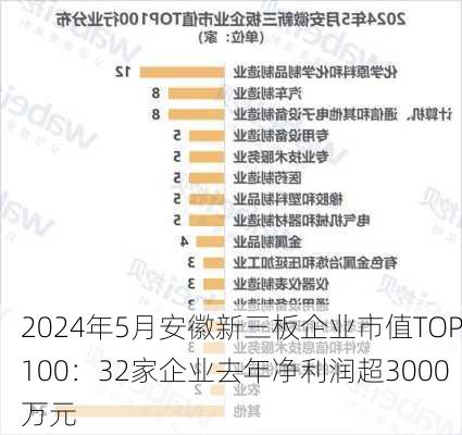 2024年5月安徽新三板企业市值TOP100：32家企业去年净利润超3000万元-第2张图片-