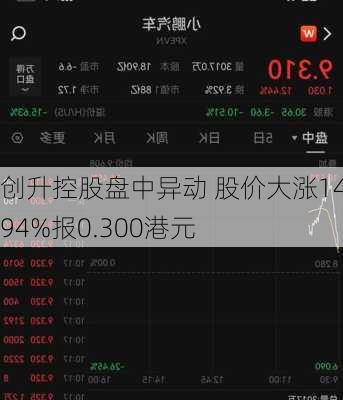 创升控股盘中异动 股价大涨14.94%报0.300港元-第3张图片-