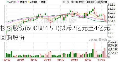 杉杉股份(600884.SH)拟斥2亿元至4亿元回购股份-第1张图片-