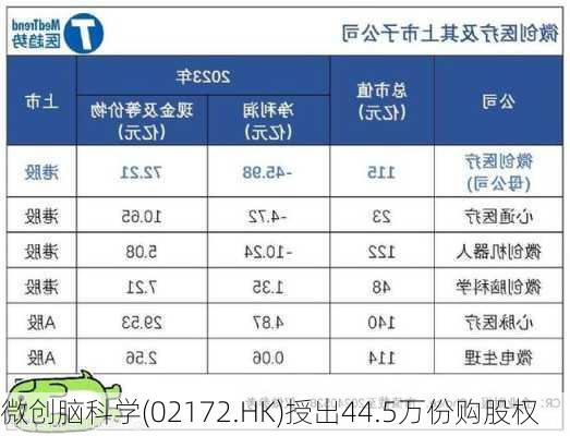 微创脑科学(02172.HK)授出44.5万份购股权-第1张图片-