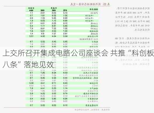 上交所召开集成电路公司座谈会 共推“科创板八条”落地见效-第3张图片-