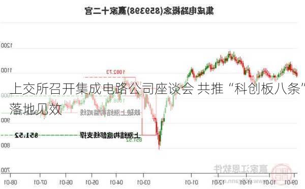 上交所召开集成电路公司座谈会 共推“科创板八条”落地见效