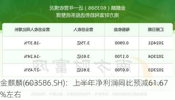 金麒麟(603586.SH)：上半年净利润同比预减61.67%左右-第1张图片-