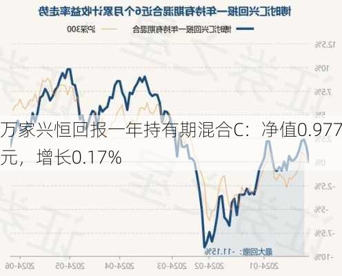 万家兴恒回报一年持有期混合C：净值0.9778元，增长0.17%-第2张图片-