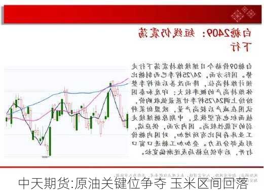 中天期货:原油关键位争夺 玉米区间回落-第1张图片-