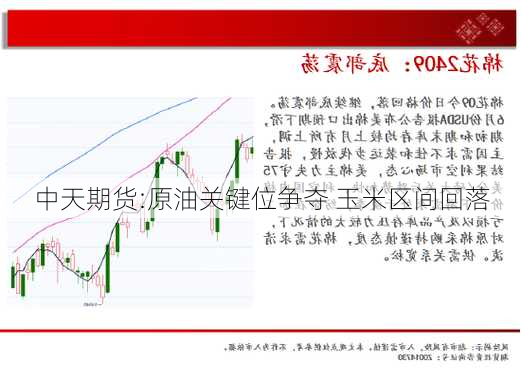 中天期货:原油关键位争夺 玉米区间回落-第2张图片-