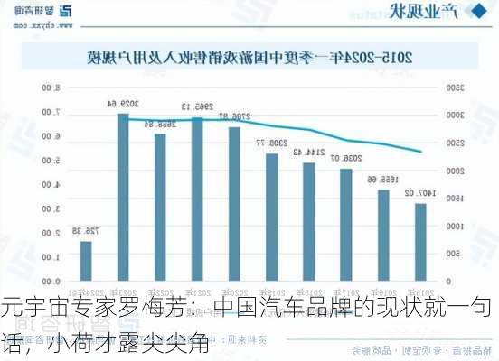 元宇宙专家罗梅芳：中国汽车品牌的现状就一句话，小荷才露尖尖角